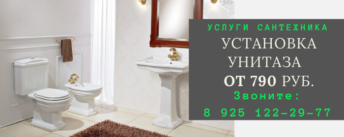Установка унитаза Васильевское