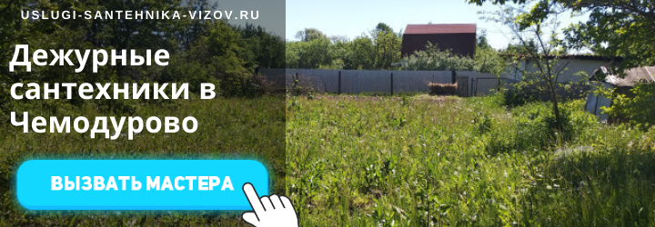 Дежурные сантехники Чемодурово