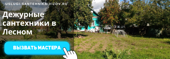Дежурный сантехник Лесной