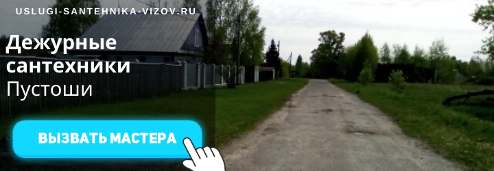 Дежурные сантехники Пустоши