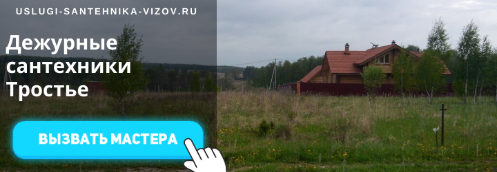 Дежурные сантехники Тростье