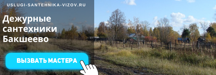 Ремонт унитаза Бакшеево