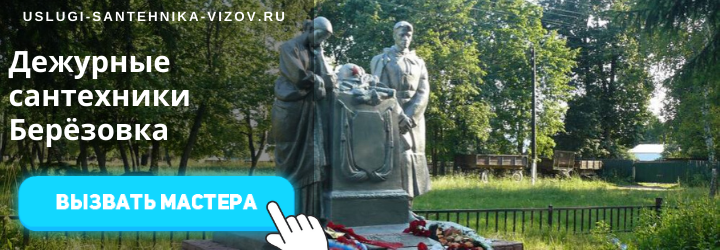 Дежурный сантехник Берёзовка