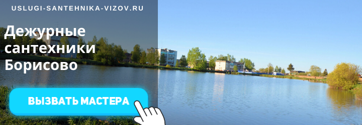 Дежурный сантехник Борисово