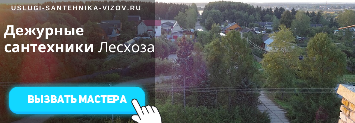 Дежурный сантехник Лесхоза