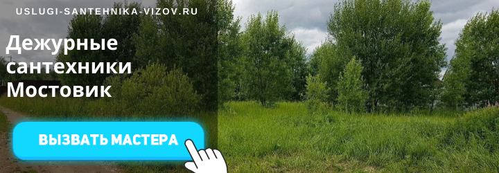 Дежурный сантехник Мостовик