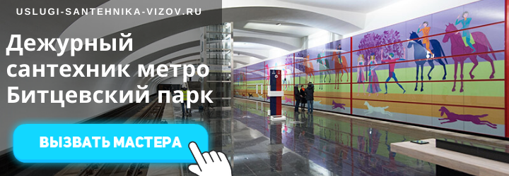 Дежурный сантехник на Битцевском парке