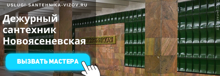Дежурный снатехник на Новоясеневской