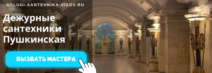 Дежурный сантехник на Пушкинской