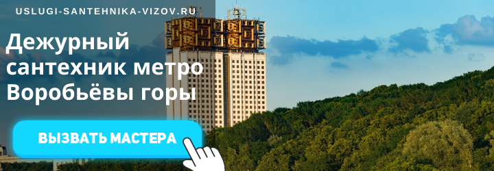 Дежурные сантехники на Воробьёвых горах