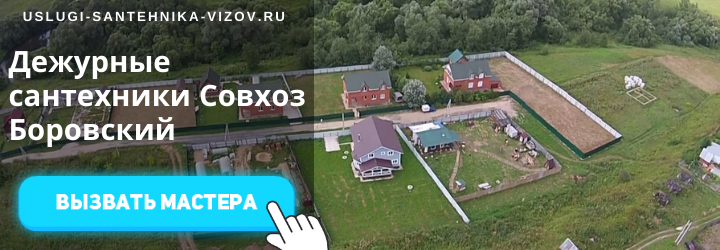 Дежурный сантехник в Совхозе Боровском