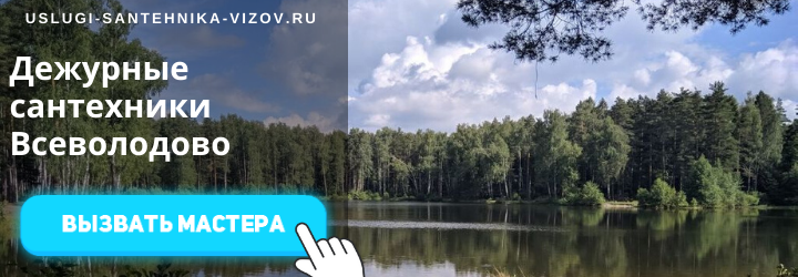 Дежурный сантехник Всеволодово