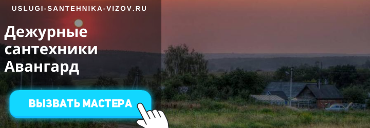 Дежурные сантехники Авангард