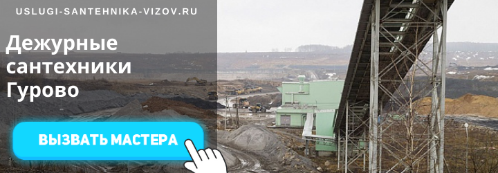 Дежурные сантехники Гурово