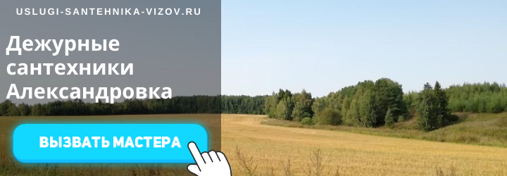 Дежурный сантехник в Александровке