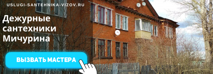 Дежурный сантехник Мичурина