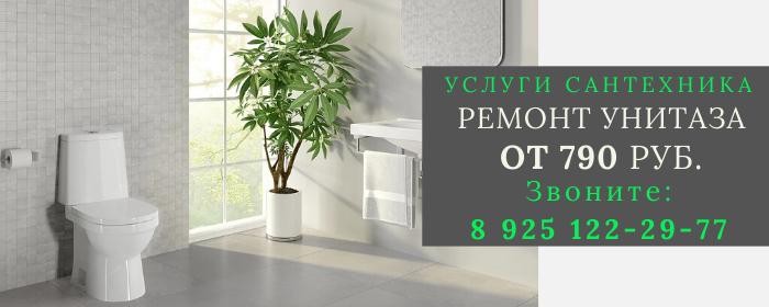 Ремонт унитаза Кузнецы