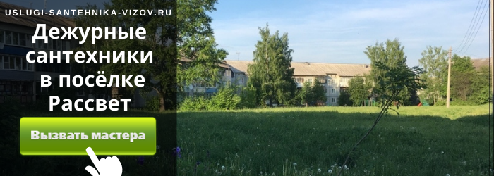 Дежурный сантехник Рассвет